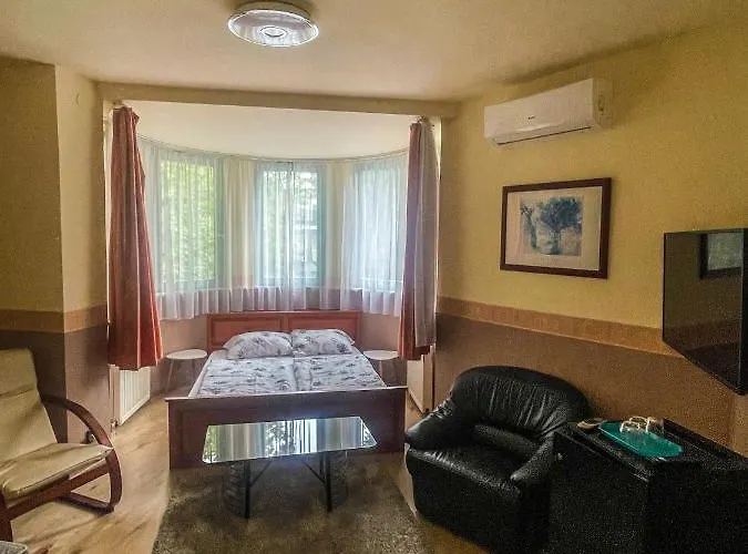 Matyas Vendeghaz Siófok